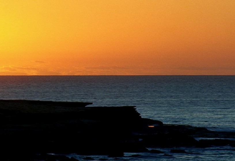 Mister-Shortcut and your Best Shortcuts Roadway - because life is beautiful despite the shrubs of life